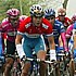 Kim Kirchen in the peloton during the Amstel Gold Race 2005